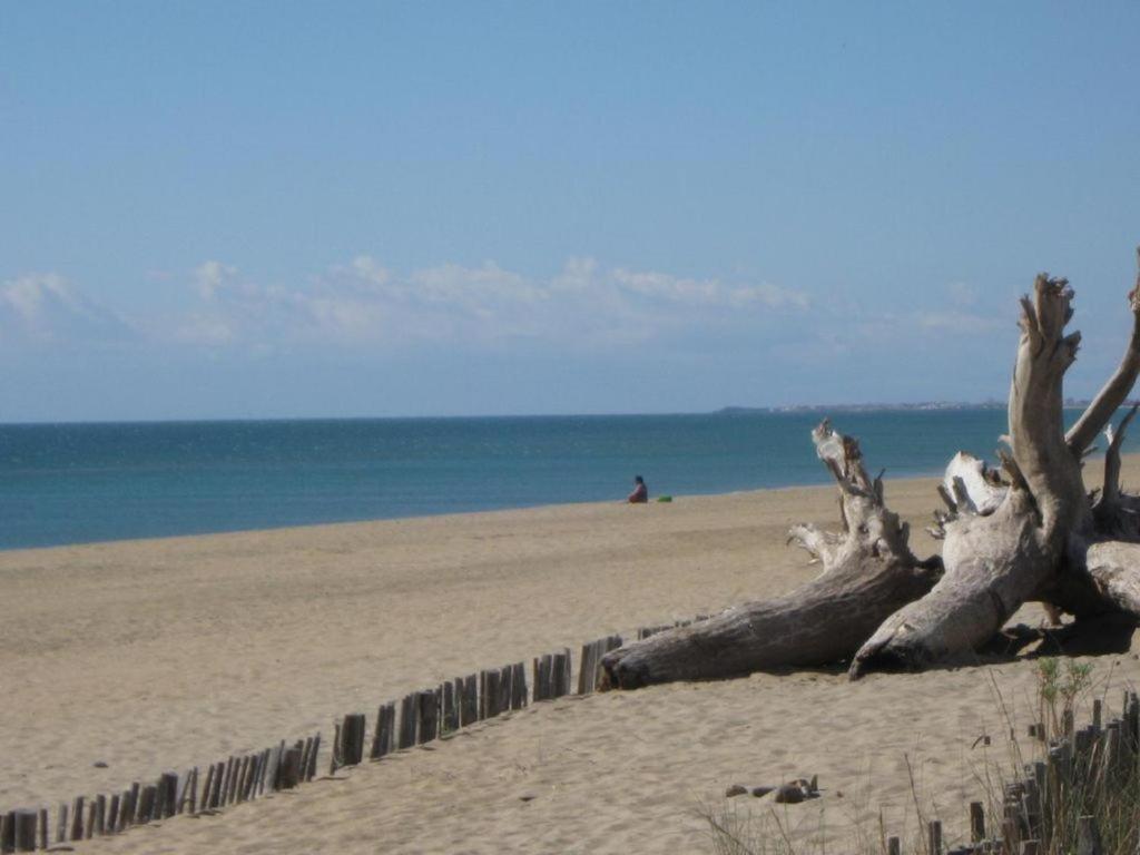 L'Etoile De Mer Sete Luaran gambar